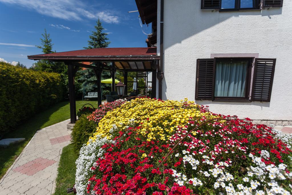 Vila Aleksandra Zlatibor Exteriör bild
